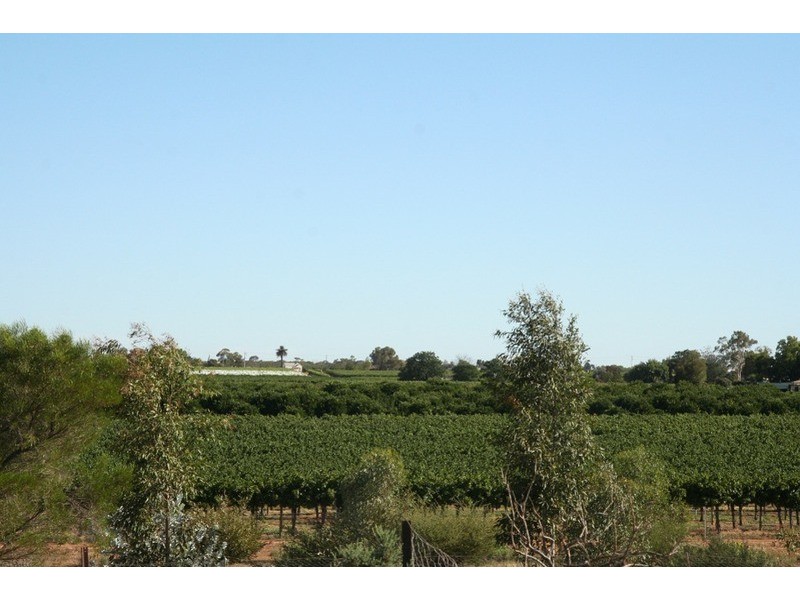 0 Rodwells Road, Merbein VIC 3505