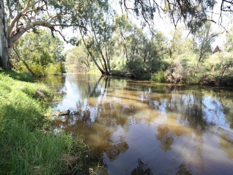 5 Wood Street, Gol Gol NSW 2738