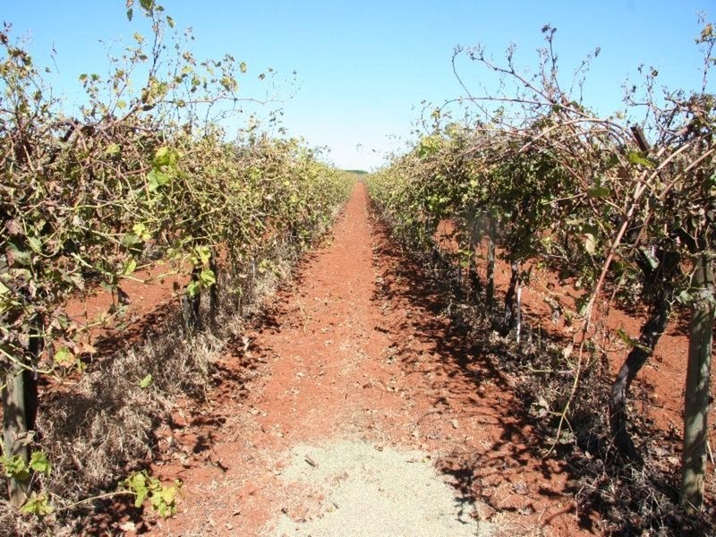 30 Boden Road, Merbein West VIC 3505