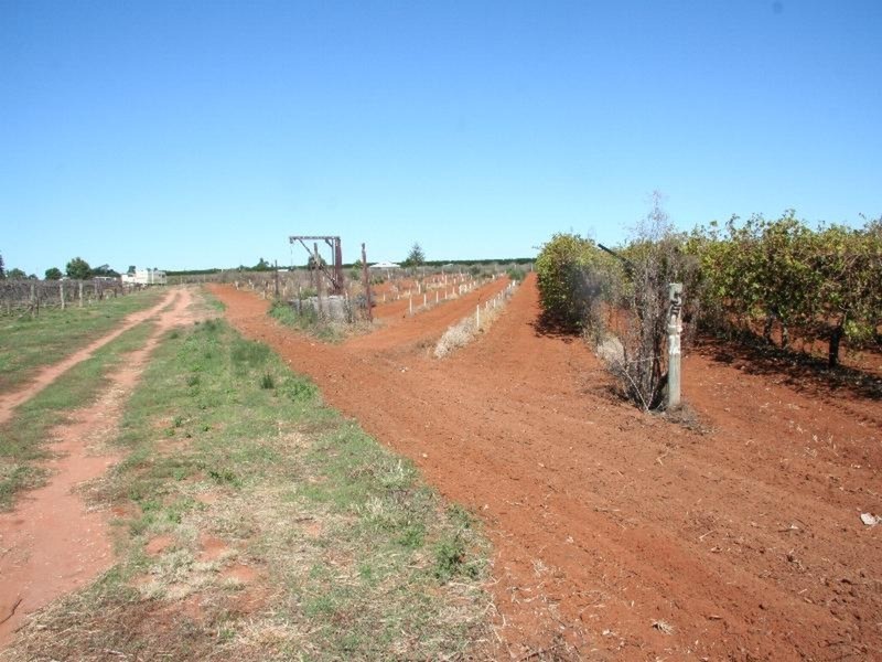 30 Boden Road, Merbein West VIC 3505