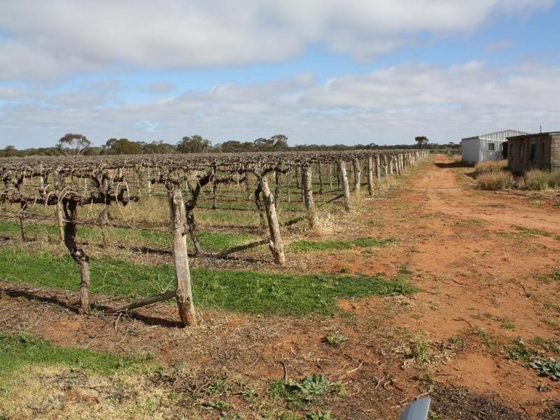 137 Honour Avenue, Merbein West VIC 3505