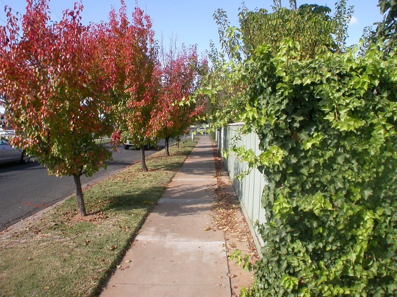 243 Deakin Avenue, Mildura VIC 3500