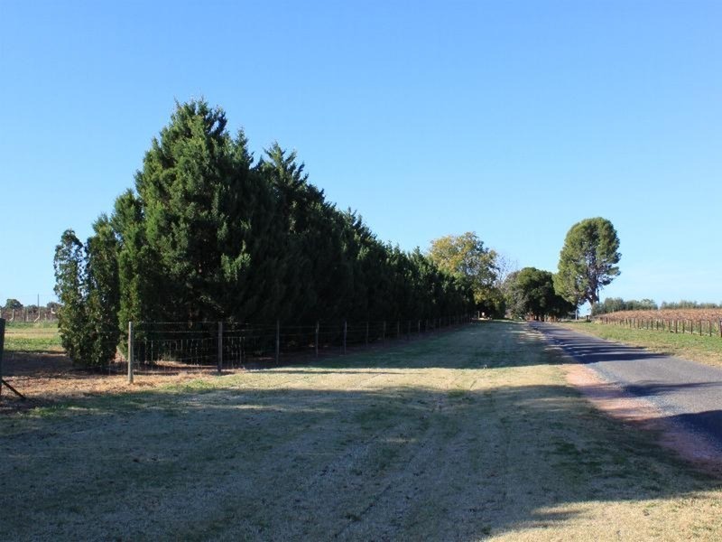 84 Mellis Street, Red Cliffs VIC 3496