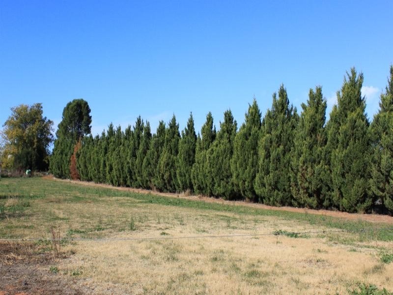 84 Mellis Street, Red Cliffs VIC 3496