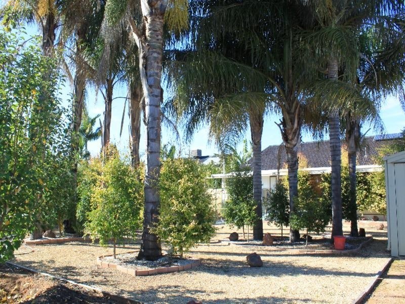 73 Walnut Avenue, Mildura VIC 3500