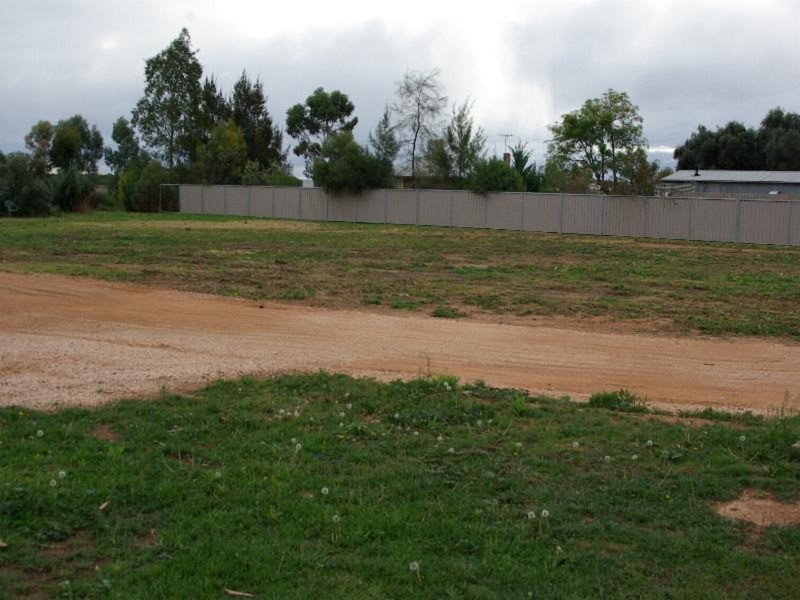 58 Euston Avenue, Irymple VIC 3498