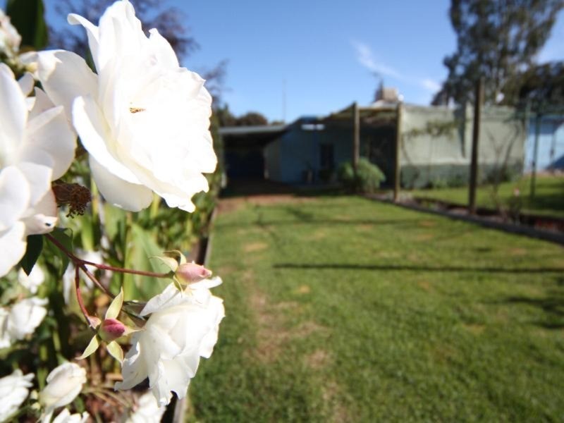 4 Churchill Street, Buronga NSW 2739