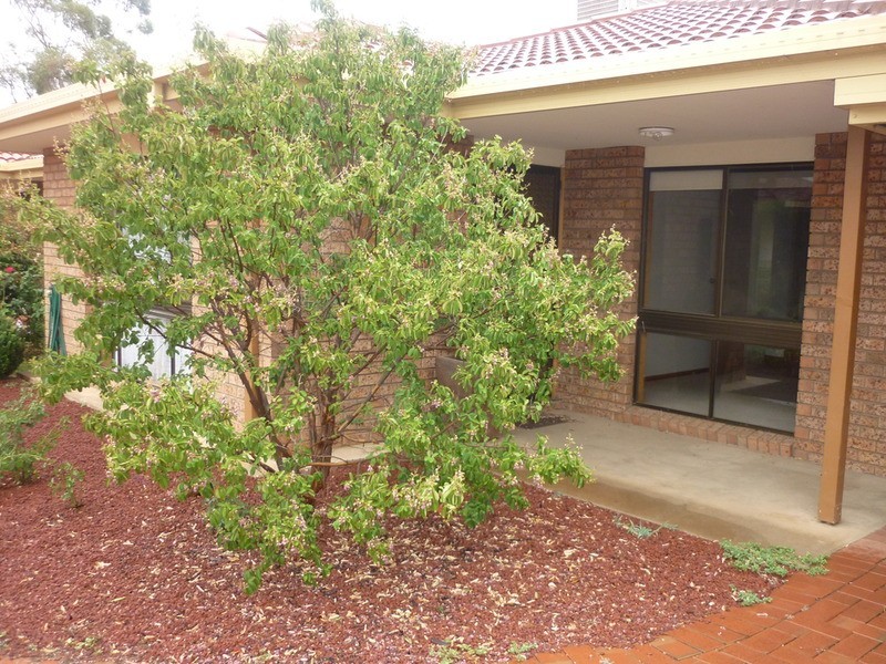 2/305 Tenth Street, Mildura VIC 3500