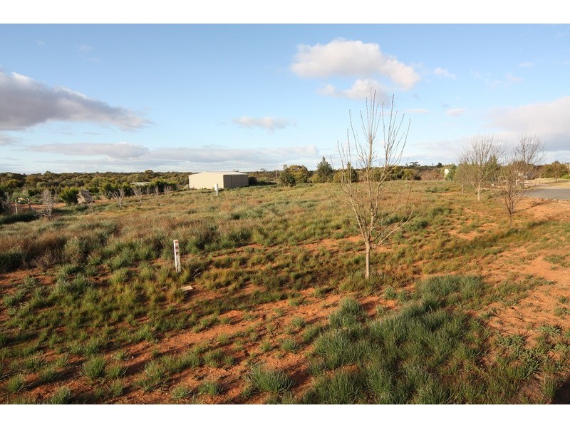 41 The Cobb & Co Way, Gol Gol NSW 2738