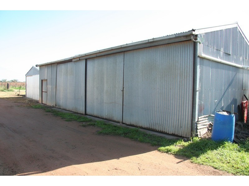 387 Gol Gol North Road, Gol Gol NSW 2738