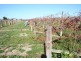 387 Gol Gol North Road, Gol Gol NSW 2738