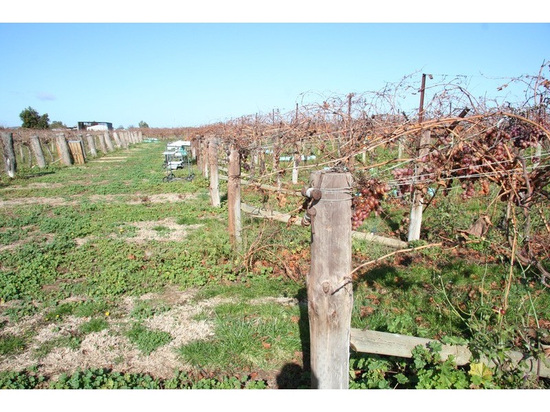 387 Gol Gol North Road, Gol Gol NSW 2738