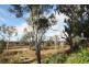 87 Billabong Road, Nichols Point VIC 3501