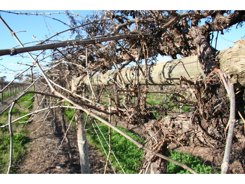 463 Koorlong Avenue, Irymple VIC 3498