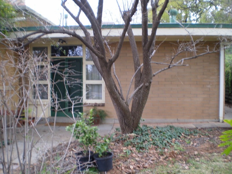 2/328 Eleventh Street, Mildura VIC 3500