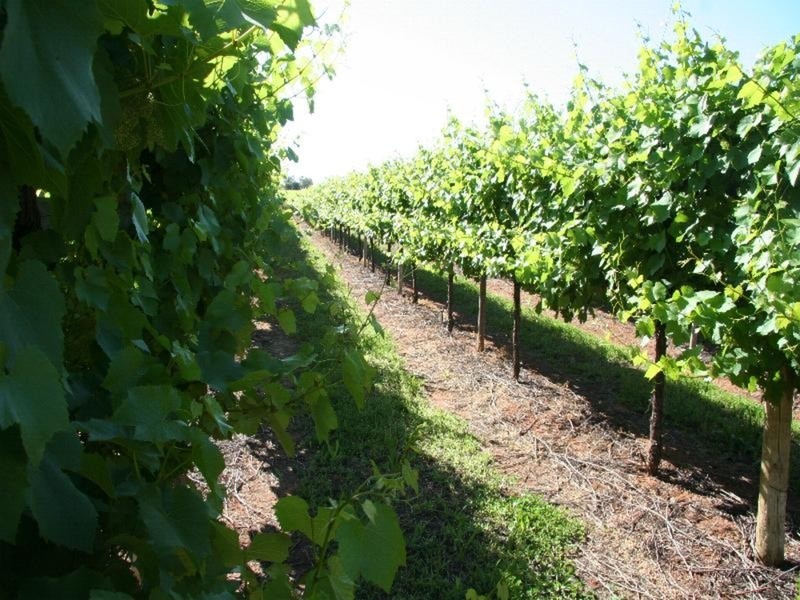 463 Koorlong Avenue, Irymple VIC 3498