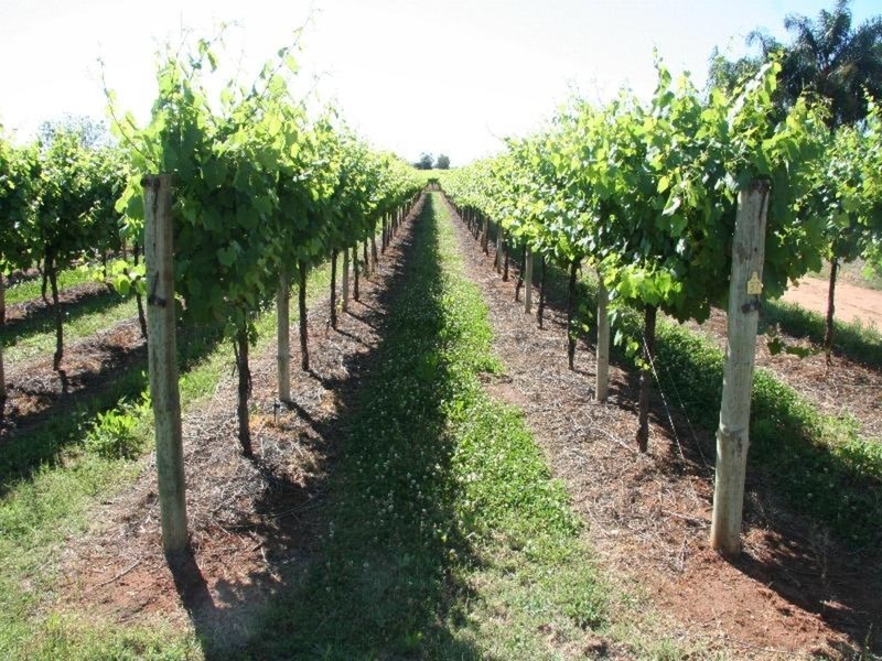 463 Koorlong Avenue, Irymple VIC 3498