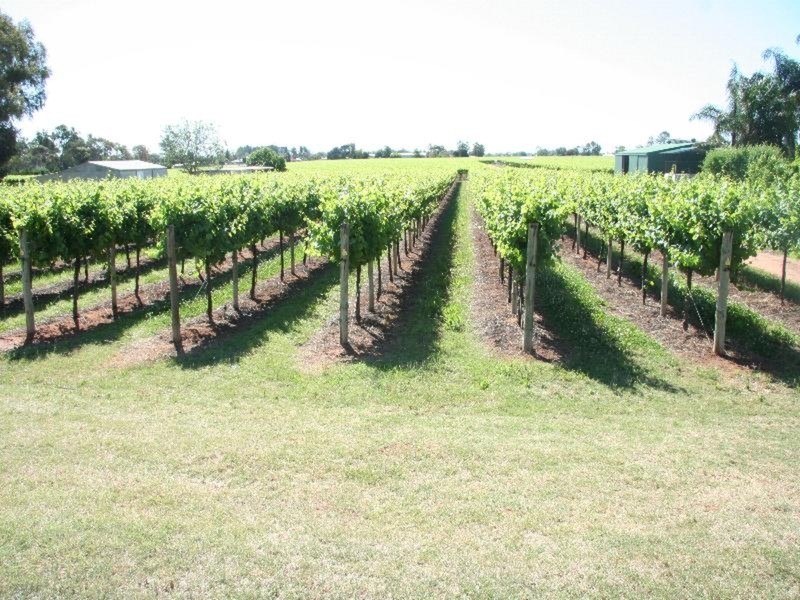 463 Koorlong Avenue, Irymple VIC 3498