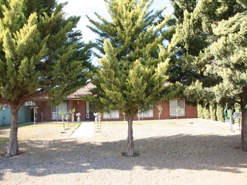 624 Irymple Avenue, Irymple VIC 3498