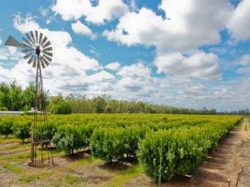 301 Edey Road, Red Cliffs VIC 3496