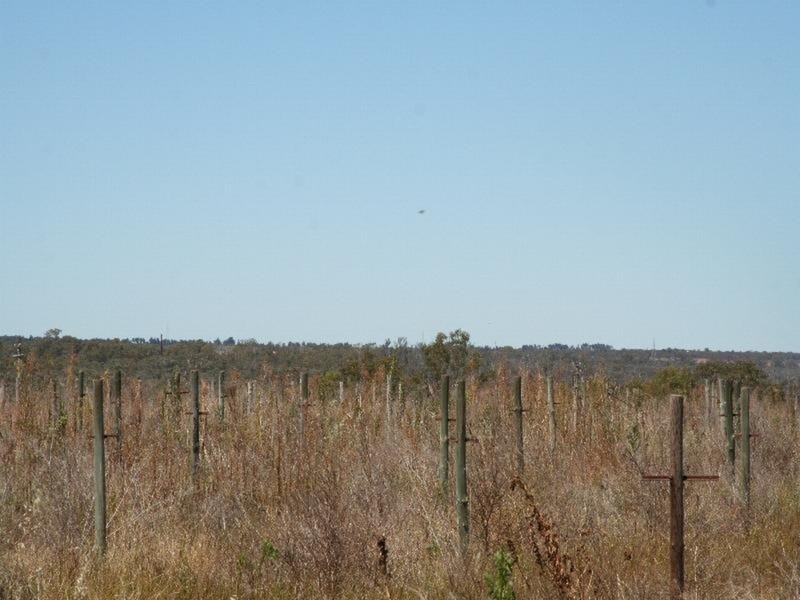 891 Cureton Avenue, Irymple VIC 3498