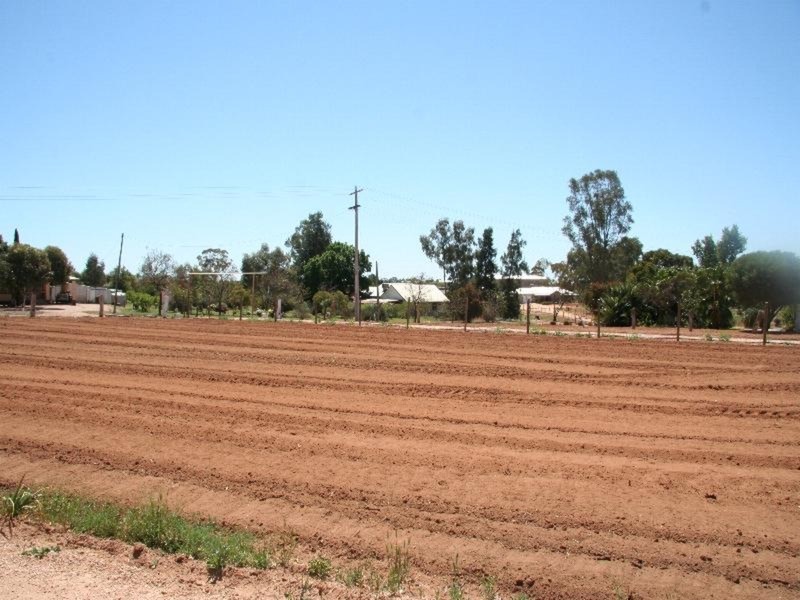 891 Cureton Avenue, Irymple VIC 3498