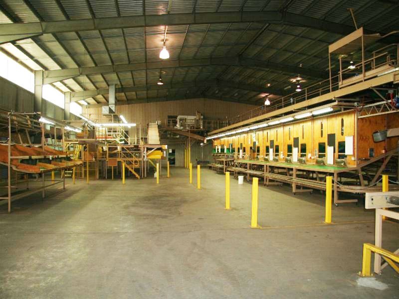 Lot 4 Colignan  Road, Red Cliffs VIC 3496