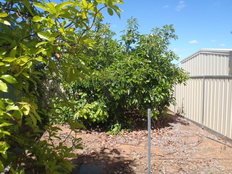 1 Francesca Drive, Irymple VIC 3498