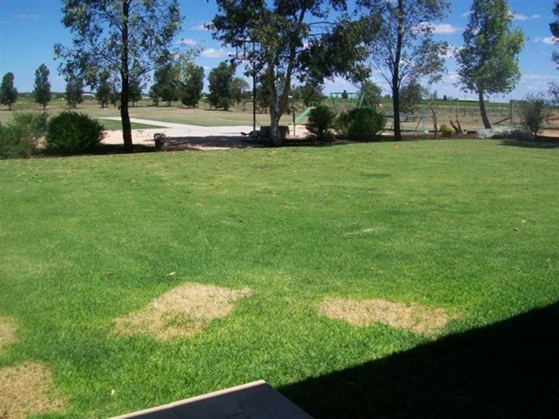 3058 Etiwanda Avenue, Mildura VIC 3500