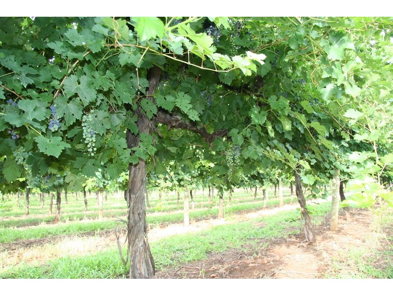 579 Ropers Road, Cardross VIC 3496