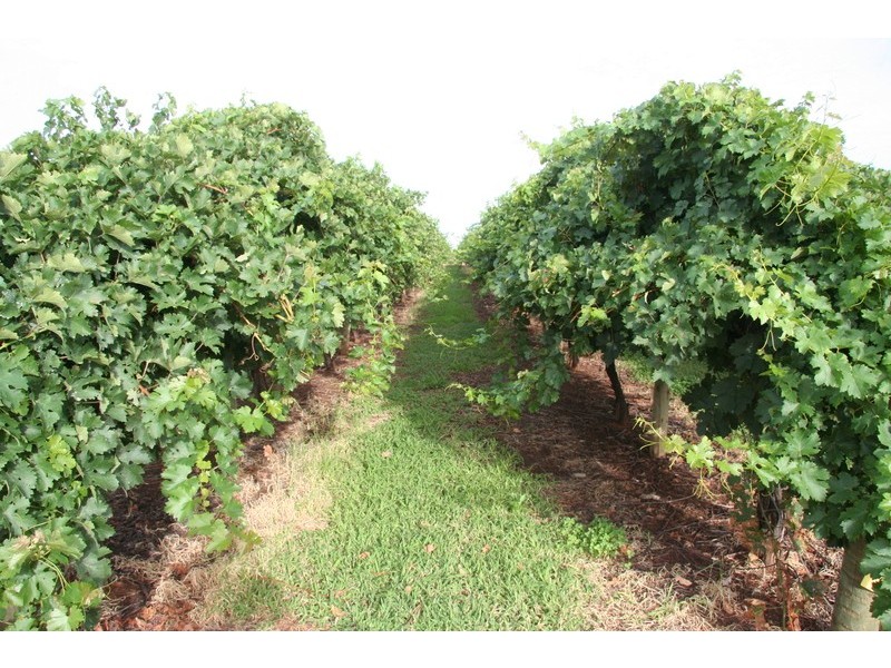 579 Ropers Road, Cardross VIC 3496