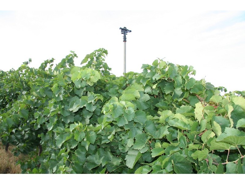 579 Ropers Road, Cardross VIC 3496