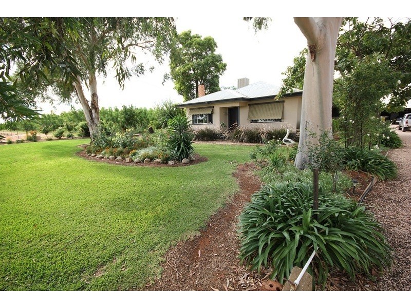 442 Reserve Road, Dareton NSW 2717