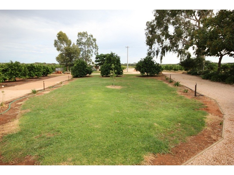 442 Reserve Road, Dareton NSW 2717