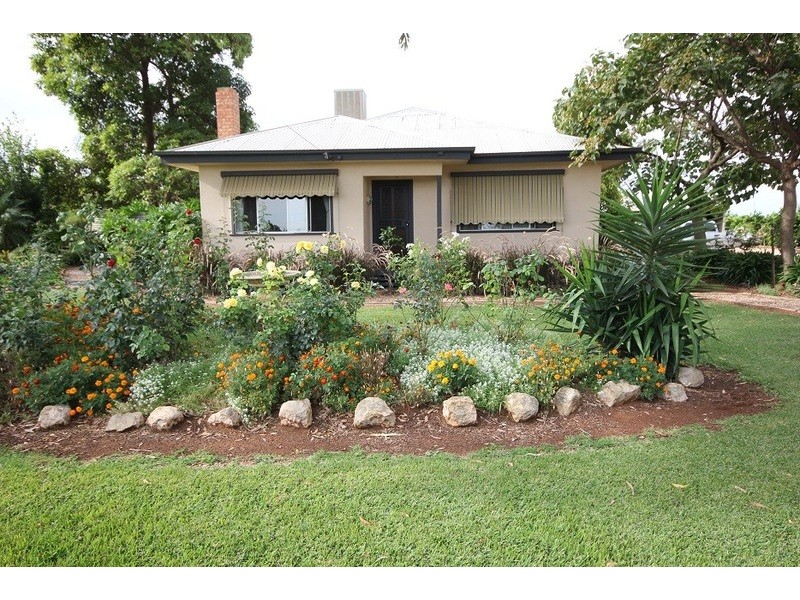 442 Reserve Road, Dareton NSW 2717