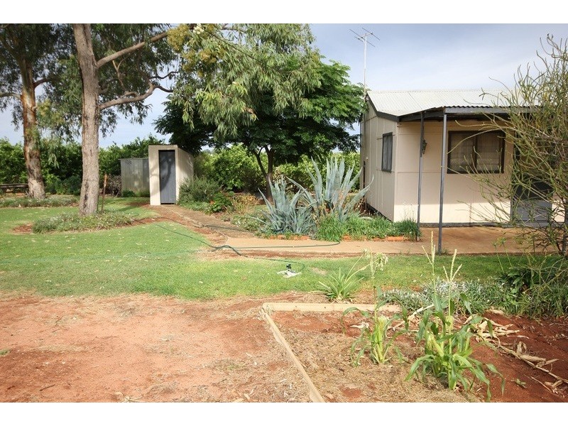 442 Reserve Road, Dareton NSW 2717