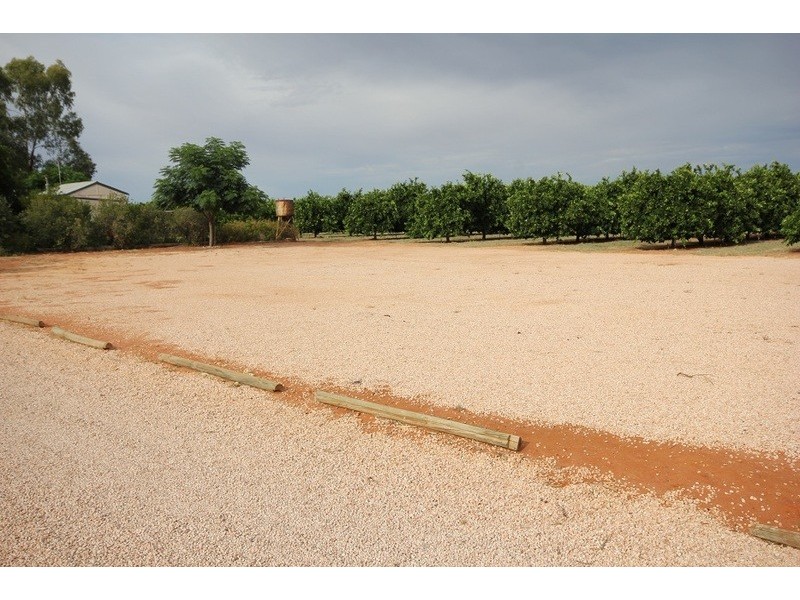 442 Reserve Road, Dareton NSW 2717