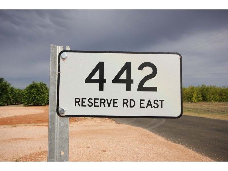 442 Reserve Road, Dareton NSW 2717