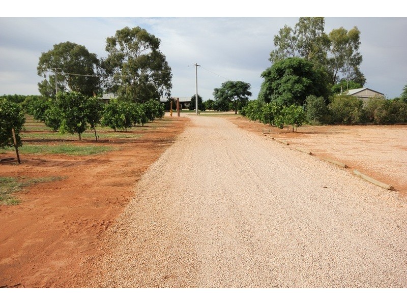 442 Reserve Road, Dareton NSW 2717