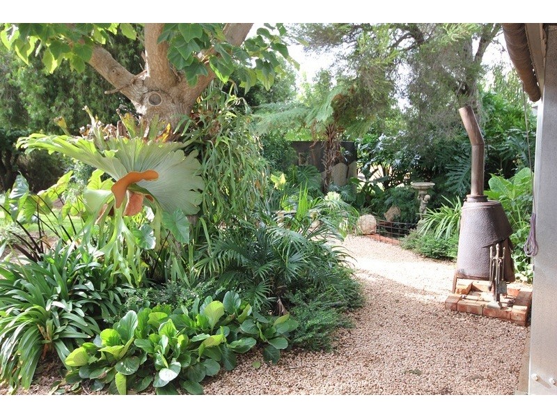 442 Reserve Road, Dareton NSW 2717