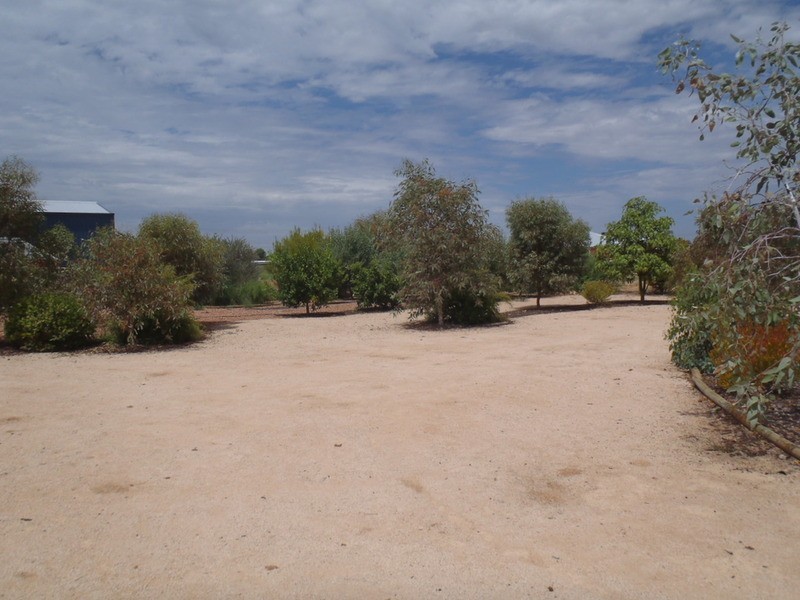 62 River Avenue, Merbein VIC 3505