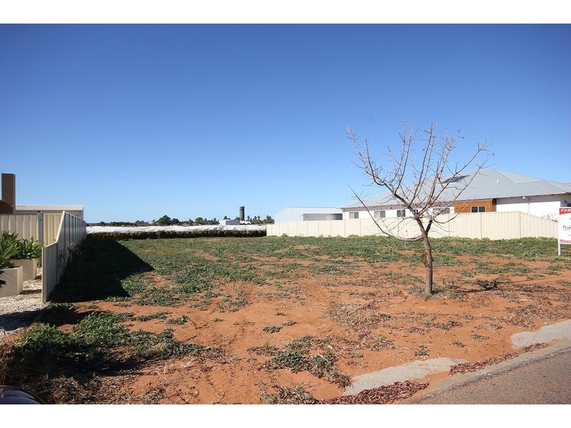 10 Casuarina Way, Buronga NSW 2739