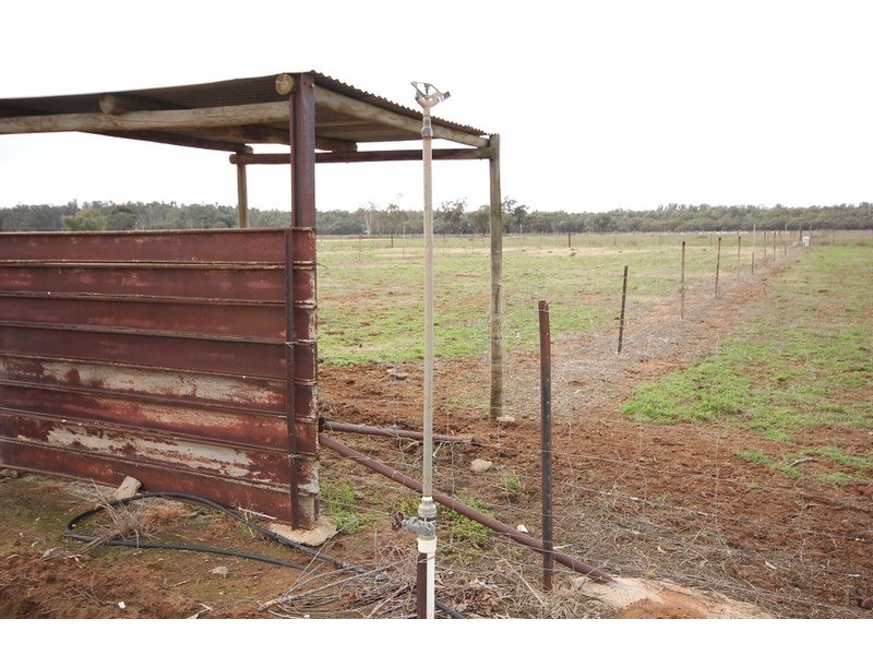 639 Tol Tol Road, Robinvale VIC 3549