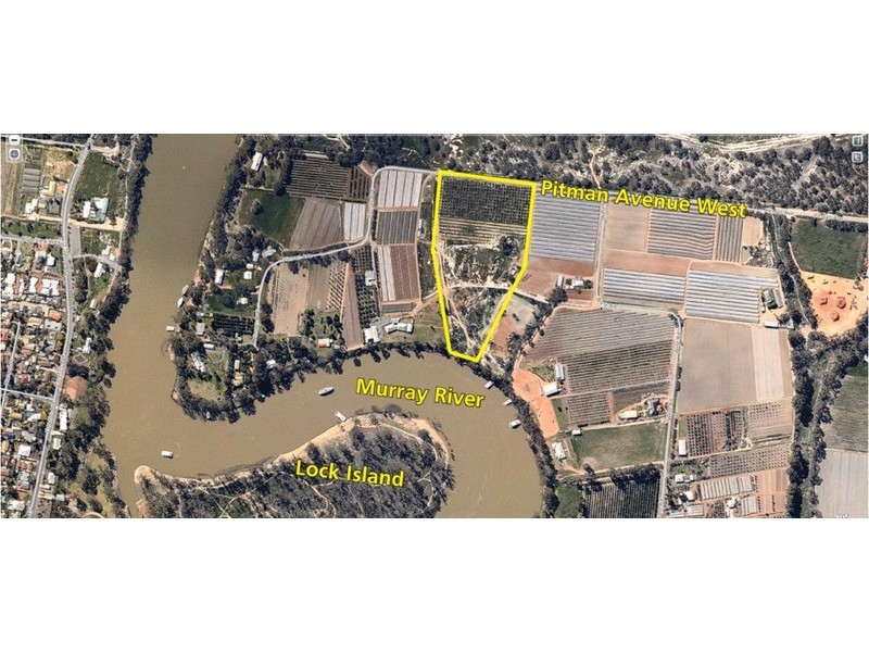 123 Pitman  Avenue, Buronga NSW 2739