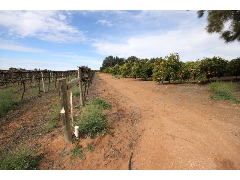 Linden Grove, Alkira Road, Yelta VIC 3505