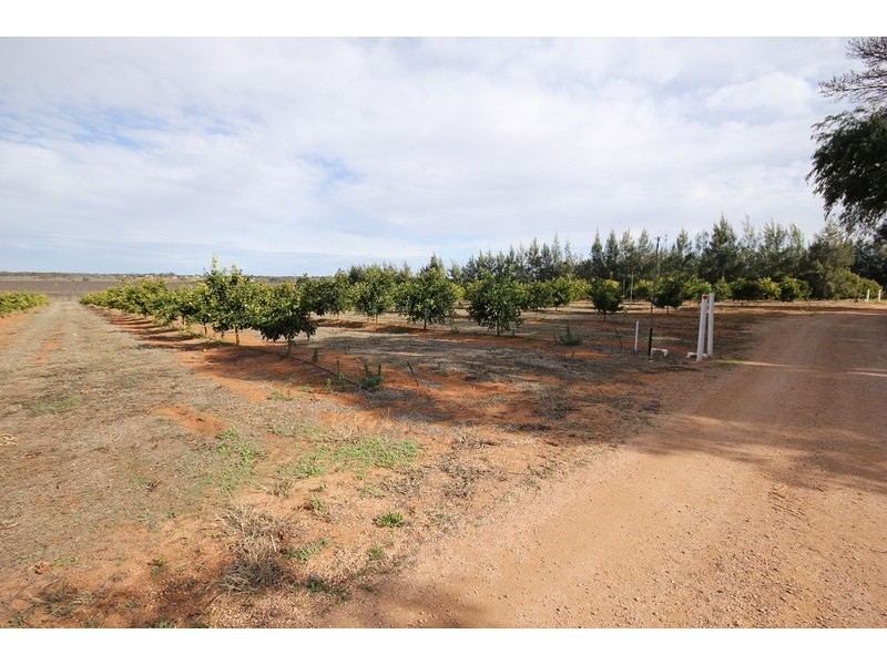 Linden Grove, Alkira Road, Yelta VIC 3505