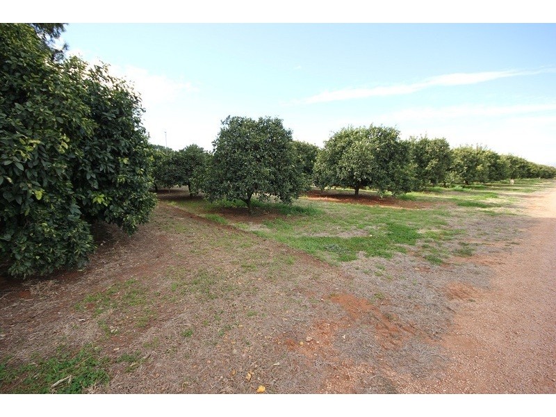 Linden Grove, Alkira Road, Yelta VIC 3505