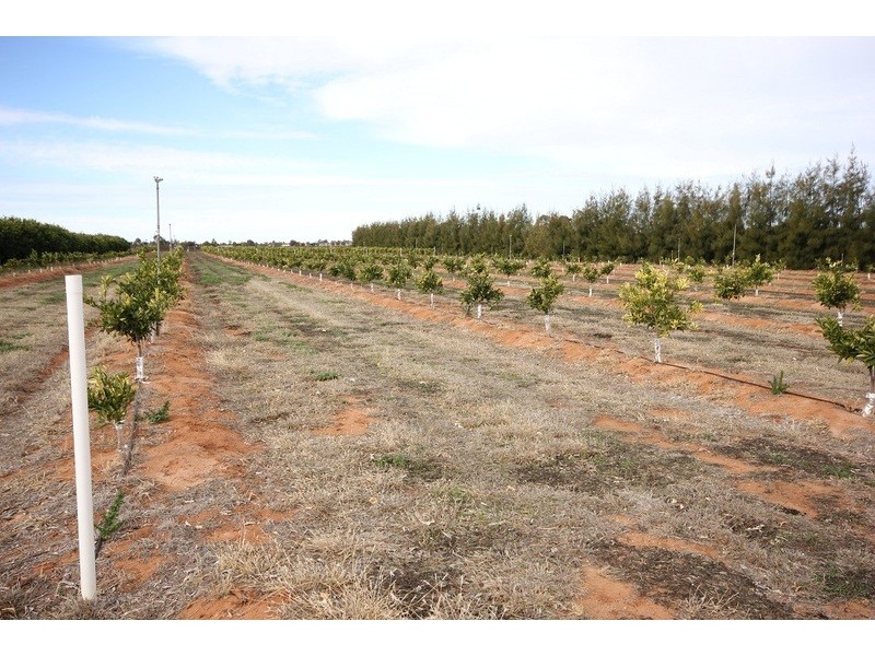 Linden Grove, Alkira Road, Yelta VIC 3505