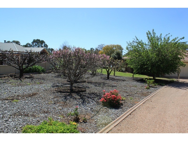 3 St Andrews Drive, Mildura VIC 3500