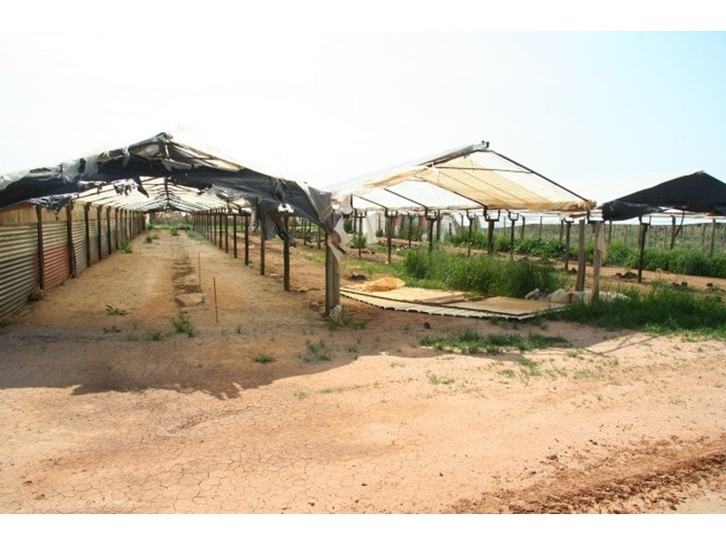 Lot 29 Koorlong Ext Avenue, Cardross VIC 3496